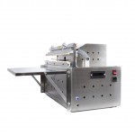 Benchtop-Vakuumverpacker mit Schutzatmosphärenbefüllung DZ-500